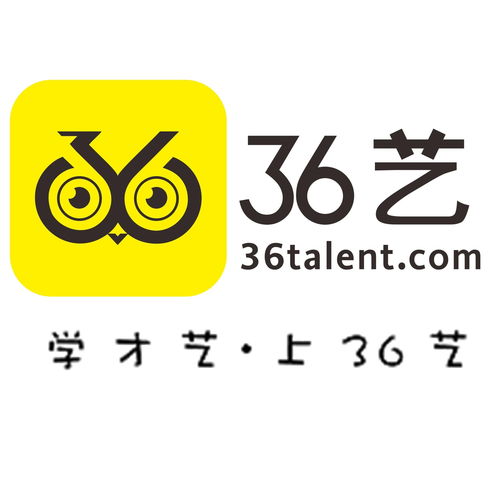 青岛三十六艺网络科技