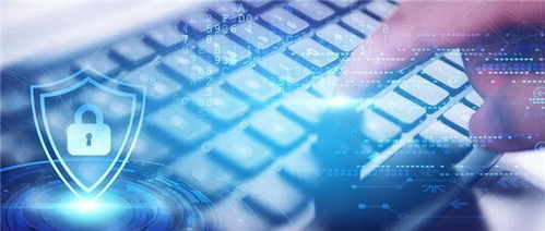 独家 迪普科技中标中移动信息2020 2021年安全缺陷检查工具集中采购项目